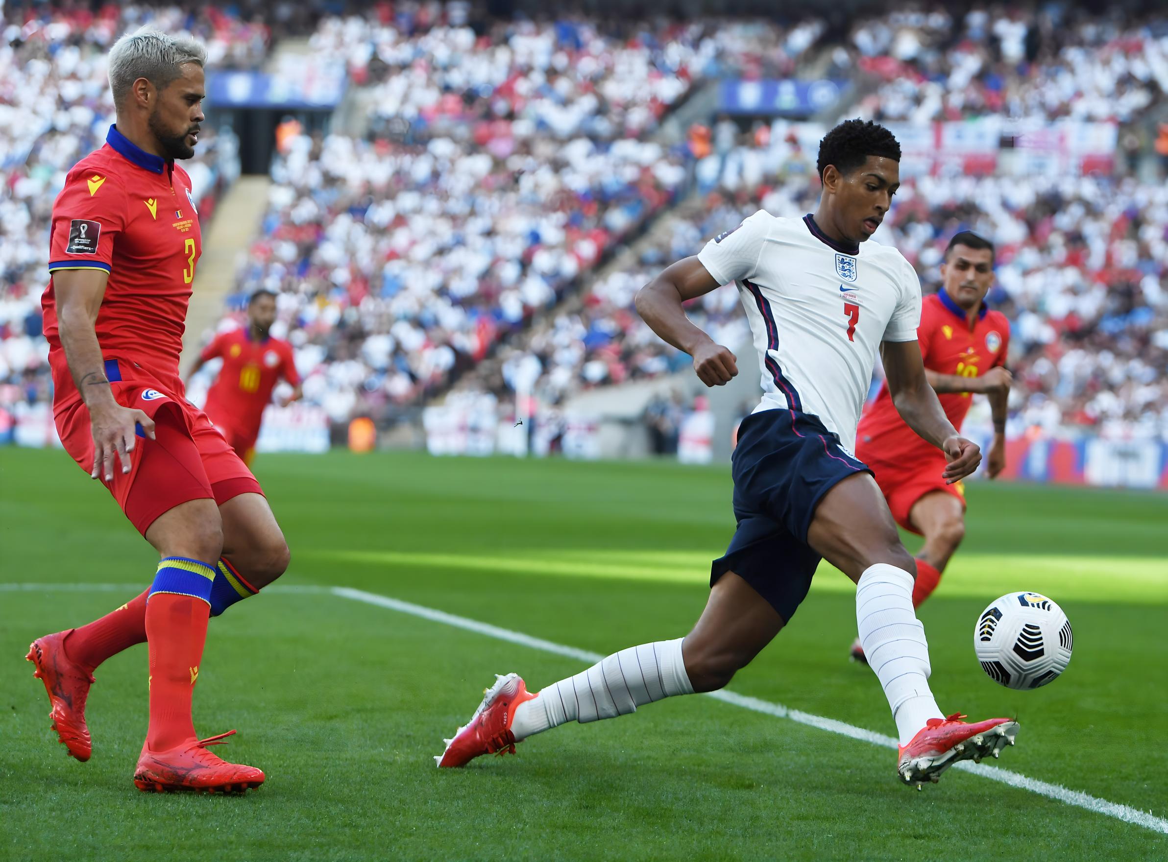 培育中的重 培育中的重