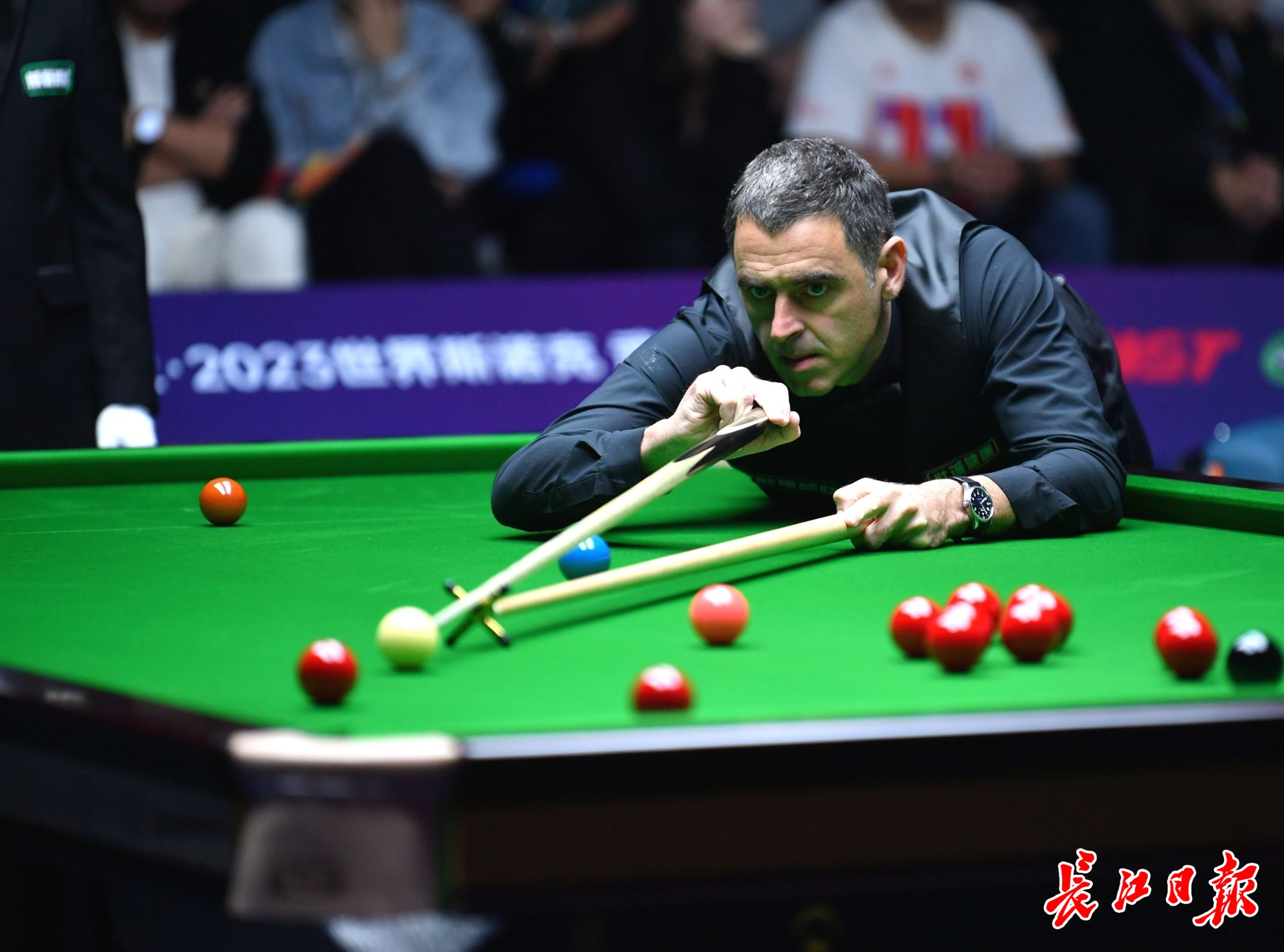 根据中国篮 根据中国篮