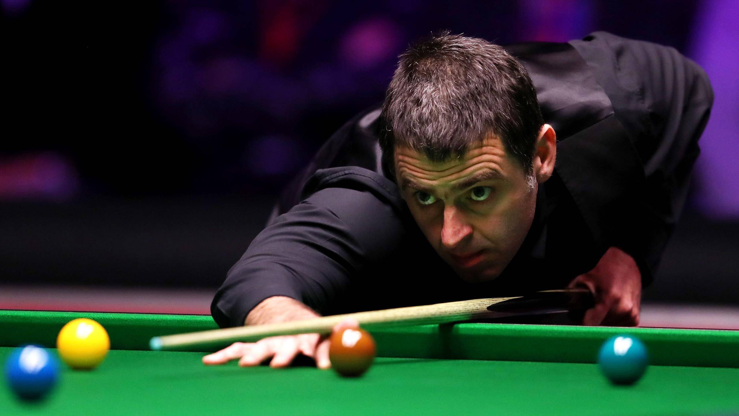 在最近举行 在最近举行