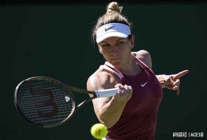 他以一种智 他以一种智